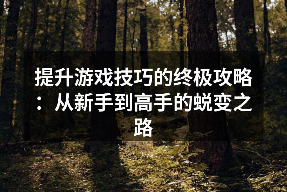 提升游戏技巧的终极攻略：从新手到高手的蜕